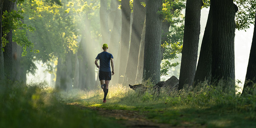Jak sn&iacute;žit toleranci na konop&iacute;