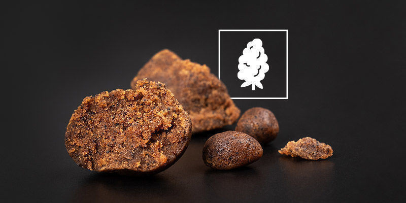 Jak m&aacute;te r&aacute;di ha&scaron;i&scaron; po r&aacute;nu?