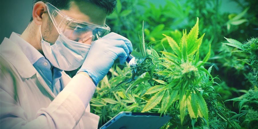 Co ř&iacute;k&aacute; věda