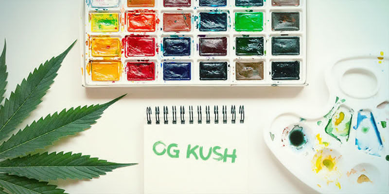 Charakteristiky odrůdy OG Kush