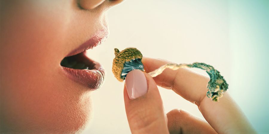 Trip na magick&yacute;ch houb&aacute;ch: Co je dobr&eacute; zv&aacute;žit