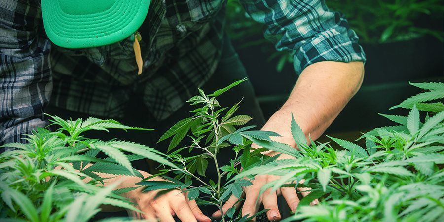 Jste připraveni na v&yacute;zvu?