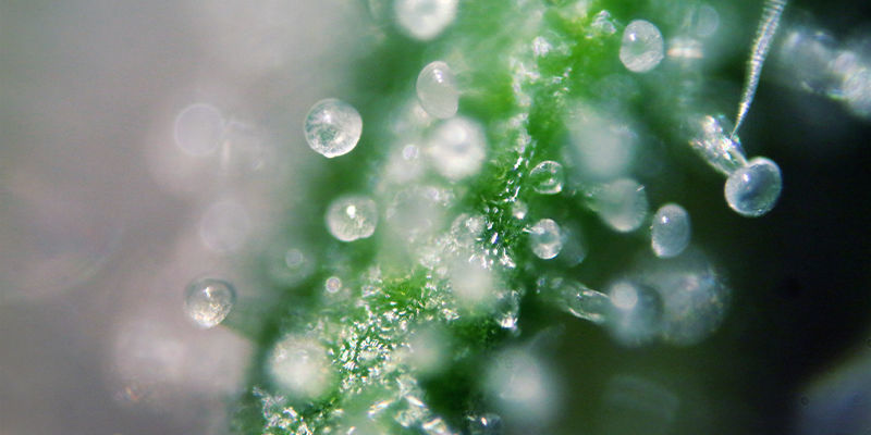 Připravte si latexov&eacute; rukavice