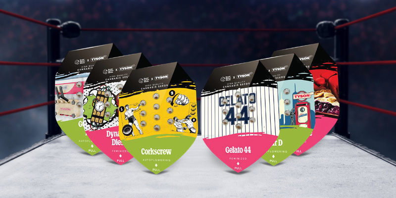 Vstupte do ringu s RQS x Tyson