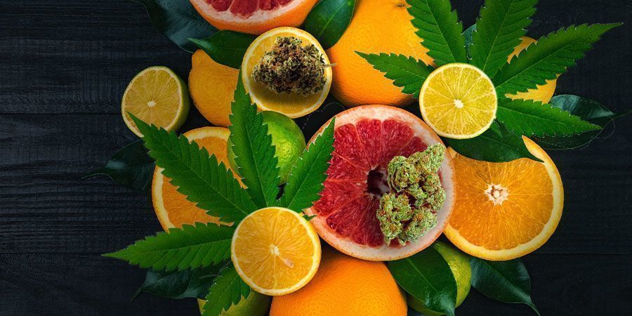 White Widow: Chuť a &uacute;činky