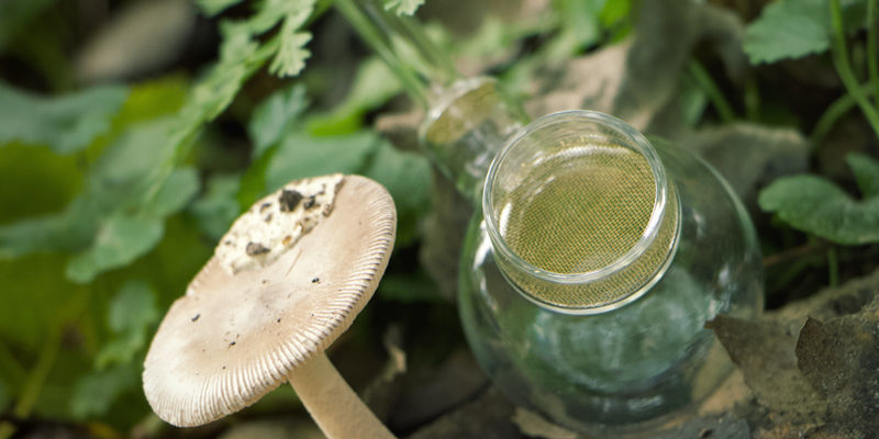 Stručn&aacute; historie vaporiz&eacute;rů