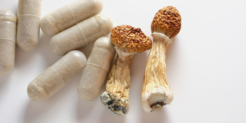 Jak se konzumuj&iacute; magick&eacute; lan&yacute;že a lysohl&aacute;vky?