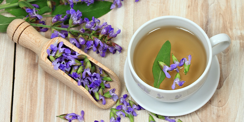 Jak Salvia divinorum působ&iacute;?