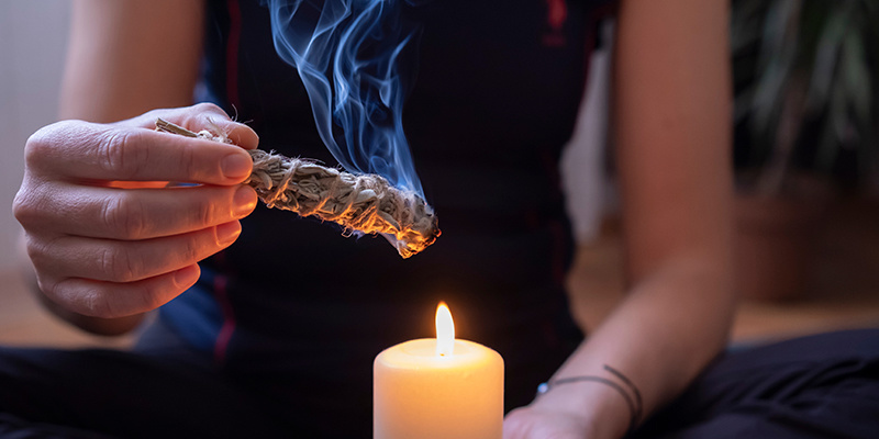 Kde koupit &scaron;alvěj divotvornou a na co si d&aacute;t pozor z hlediska bezpečnosti