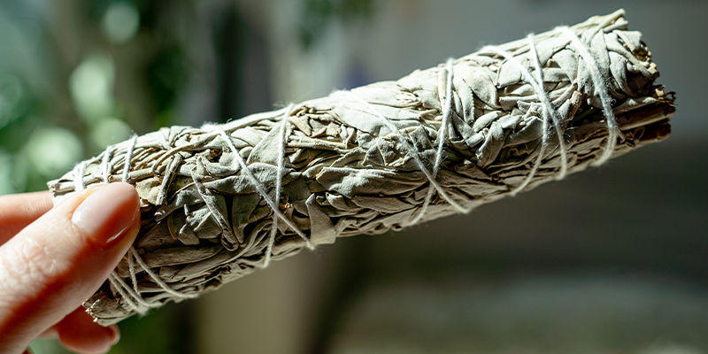 Jak&eacute; jsou různ&eacute; druhy vonn&yacute;ch tyčinek?