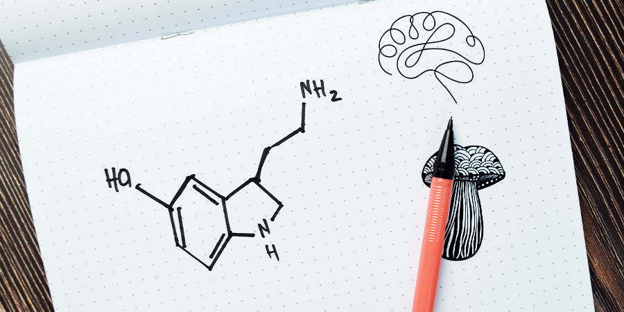 Co dělaj&iacute; lysohl&aacute;vky?
