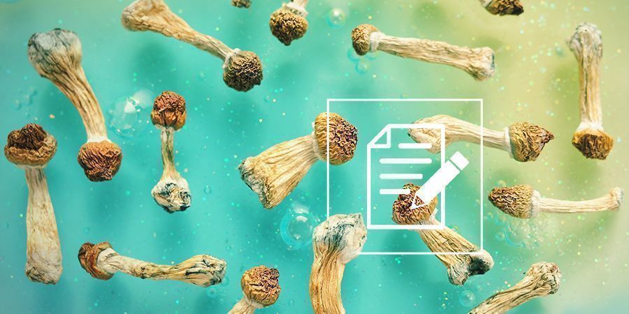 Co vědět o lysohl&aacute;vk&aacute;ch (magick&eacute; houby)