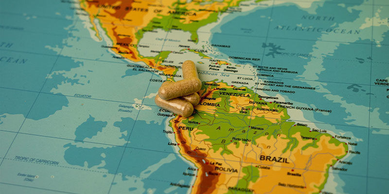 Odkud poch&aacute;z&iacute; kořen maca?