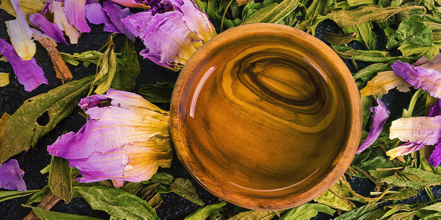 Lucidn&iacute; sněn&iacute;: bylinn&aacute; cesta