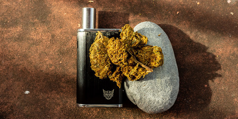 Průvodce teplotami kanabinoidů