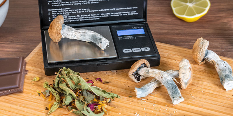 Z&aacute;lež&iacute; na tom, jak konzumujete lysohl&aacute;vky?