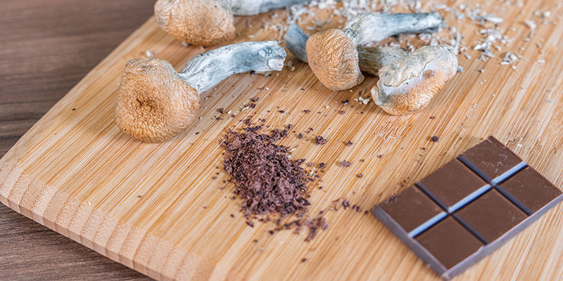 Jeden&iacute; magick&yacute;ch houbov&yacute;ch pochoutek