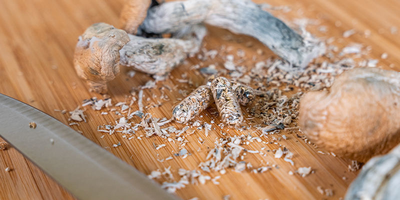 Už&iacute;v&aacute;n&iacute; kapsl&iacute; s lysohl&aacute;vkami