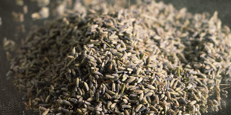 Lavender: 130 &deg;C / 266 &deg;F