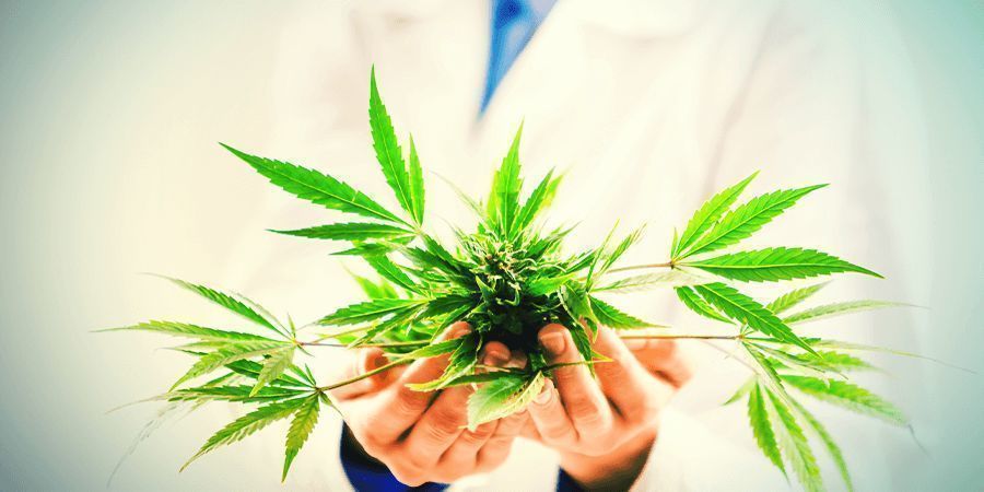 Co děl&aacute; CBD?