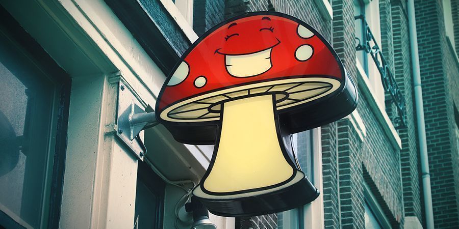 THE MODERN ERA &ndash; FARMING & PROHIBITION