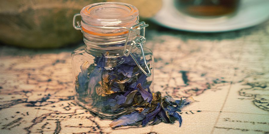 Modr&yacute; lekn&iacute;n: z&aacute;věrečn&eacute; my&scaron;lenky