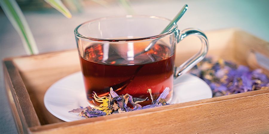 Využit&iacute; cel&eacute; rostliny modr&eacute;ho lekn&iacute;nu