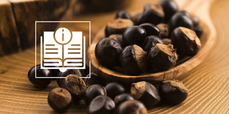 V&scaron;e, co potřebujete vědět o guaranu