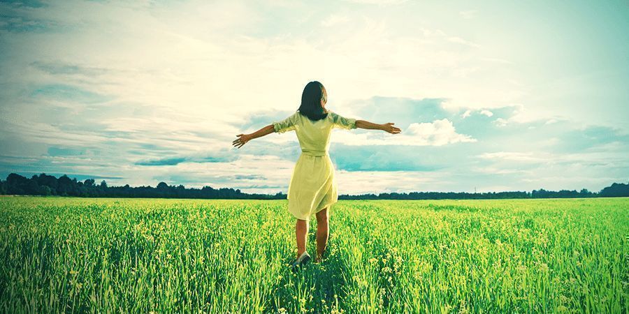 &Uacute;činky rostliny Leonotis leonurus