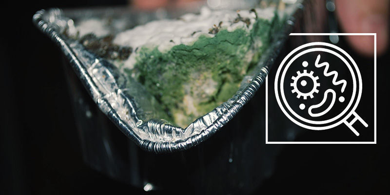 Kontaminovan&eacute; lysohl&aacute;vky