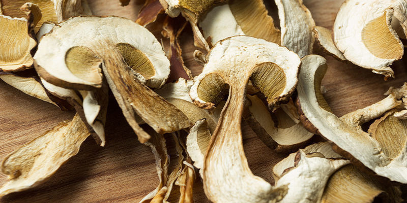 Mikrod&aacute;vkov&aacute;n&iacute; psychedelick&yacute;ch a nepsychedelick&yacute;ch hub