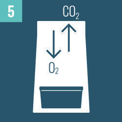 N&aacute;vod k použit&iacute; pěstebn&iacute;ch sad na lysohl&aacute;vky Zamnesia