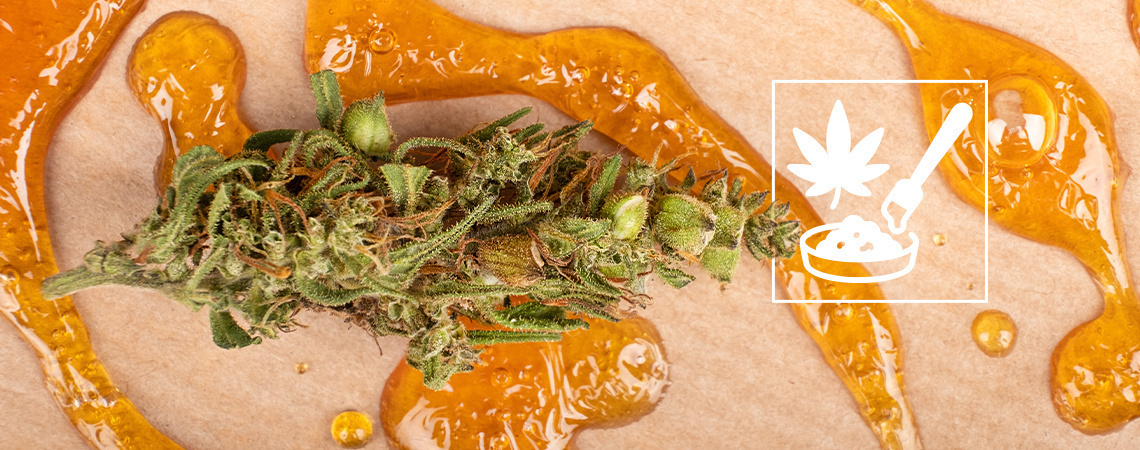 The ultimate guide to cannabis concentrates