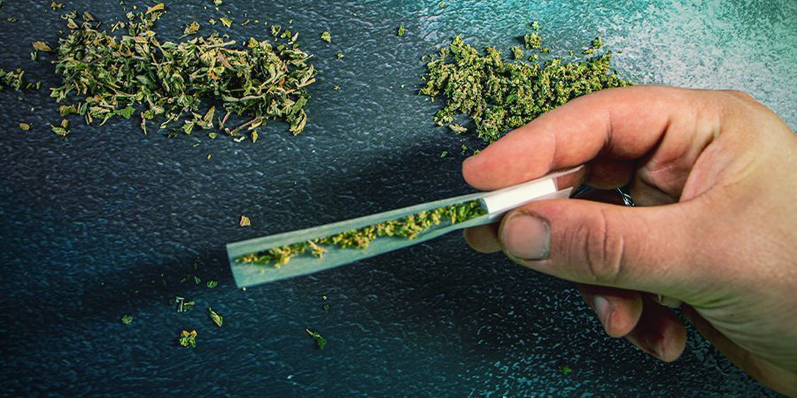 ROHATINA KONOP&Iacute;