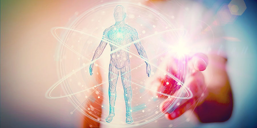 Pr&aacute;ce s lidskou anatomi&iacute;