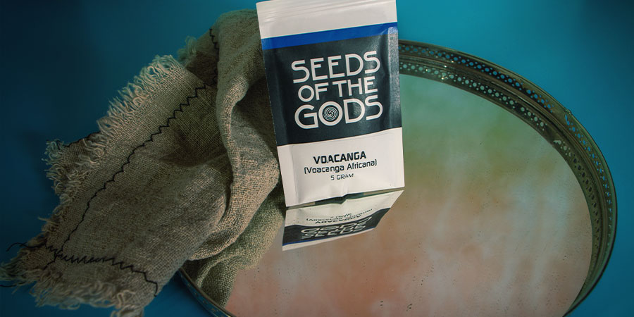 Co je Voacanga africana?