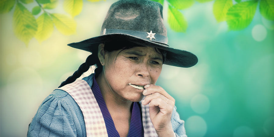 Kanna: Podjazykov&eacute; užit&iacute;/žv&yacute;k&aacute;n&iacute;