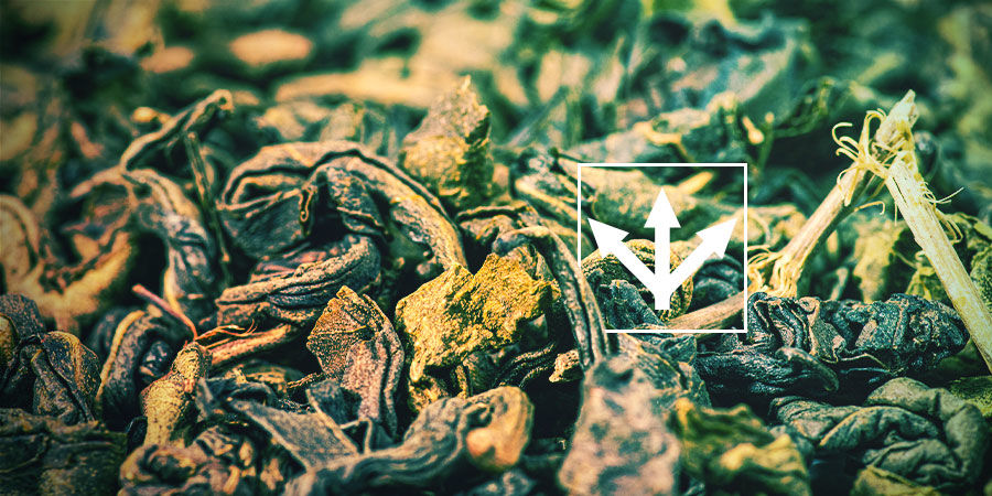 DRUHY ČAJE GUNPOWDER