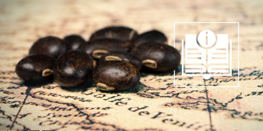 Sametov&eacute; boby: V&scaron;e, co potřebujete vědět