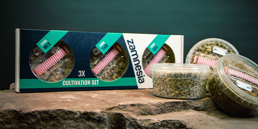 JAK Z&Iacute;SKAT MAGICK&Eacute; LAN&Yacute;ŽE