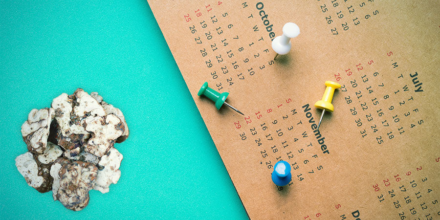 PL&Aacute;NOV&Aacute;N&Iacute; A UŽIT&Iacute; SI V&Yacute;LETU