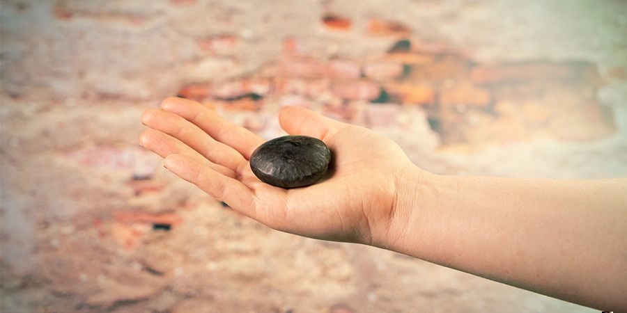 CO JSOU AFRICK&Aacute; SNY PŘIN&Aacute;&Scaron;EJ&Iacute;C&Iacute; SEMENA?