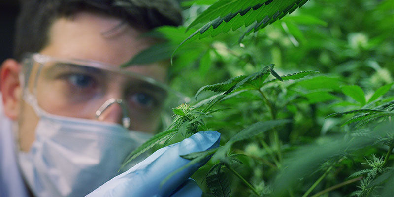 Ochrana před poraněn&iacute;m