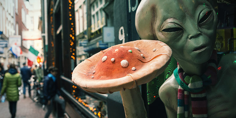 Historie smartshopů