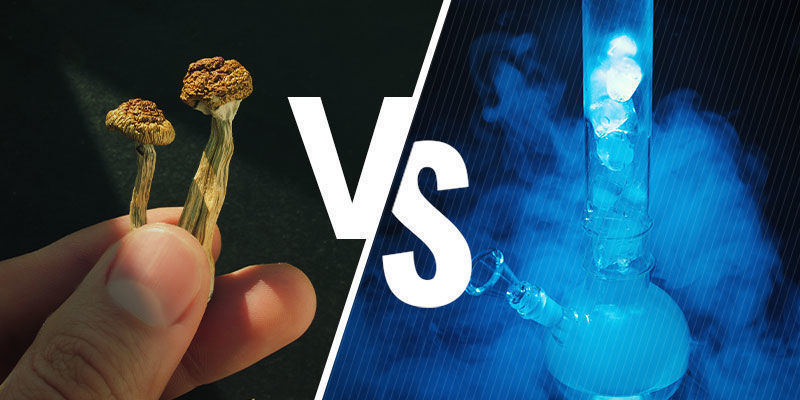 Jak&yacute; je rozd&iacute;l mezi Smartshop a Headshop?