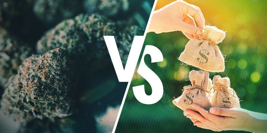 Hydroponick&eacute; pěstov&aacute;n&iacute;: v&yacute;hody a nev&yacute;hody