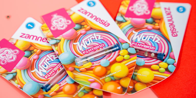 Prozkoumejte svět F1 hybridů je&scaron;tě dnes