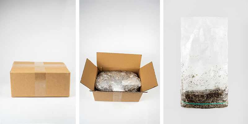 Co je souč&aacute;st&iacute; Zamnesia Ready-2-Grow Bagu?