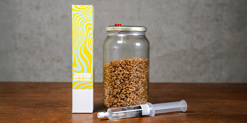 Porozuměn&iacute; tekut&eacute; kultuře