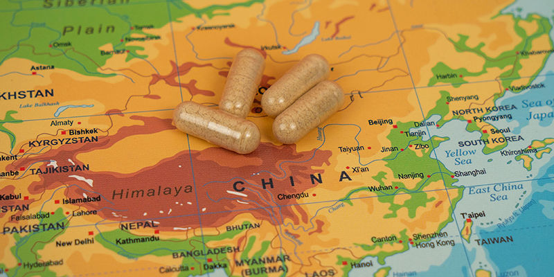 Jinan dvoulaločn&yacute;: Starobyl&yacute; v&yacute;chodn&iacute; pomocn&iacute;k